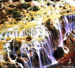 ���ƾż��ɽ�ѧ��Ƶ��Ƶ���½�������й��й������д�� ��55�����湫������...